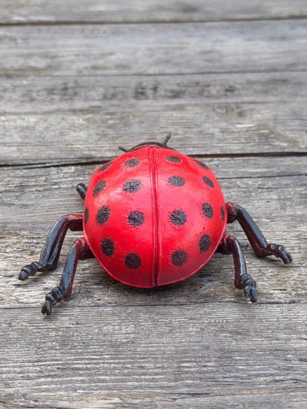 Luckystar Education Lady Bug Plastic Animal Figure Large 5" Science Nature Toy - Picture 4 of 10